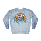 God's Promise Retro Rainbow Comfort Colors Crewneck Sweatshirt