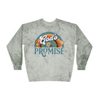 God's Promise Retro Rainbow Comfort Colors Crewneck Sweatshirt